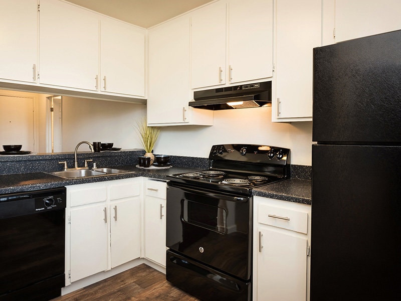 Elan Mesa Lofts, sdsu, 7491 Collins Ave, La Mesa, CA 91942, United States
