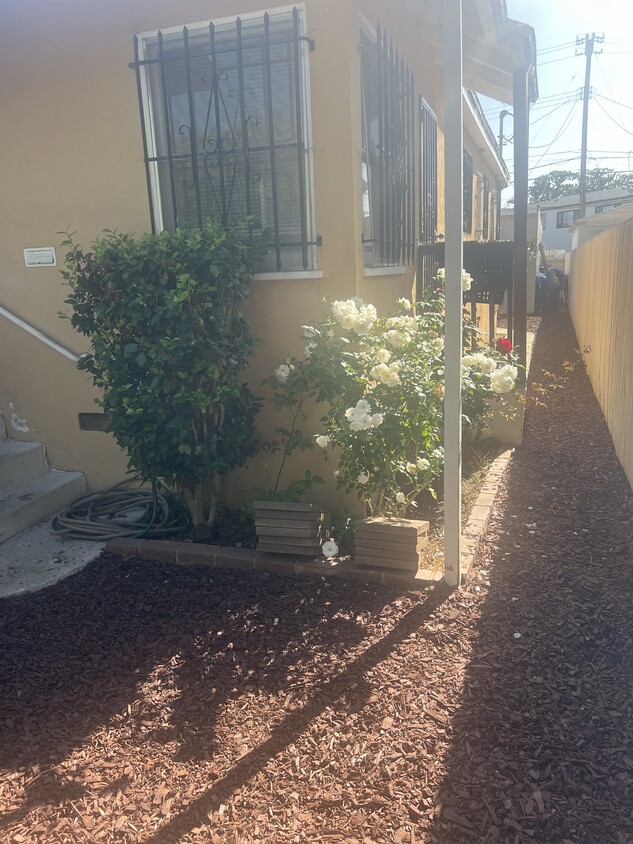 2575 S Barrington Ave, smc, 2575 S Barrington Ave, Los Angeles, CA 90064