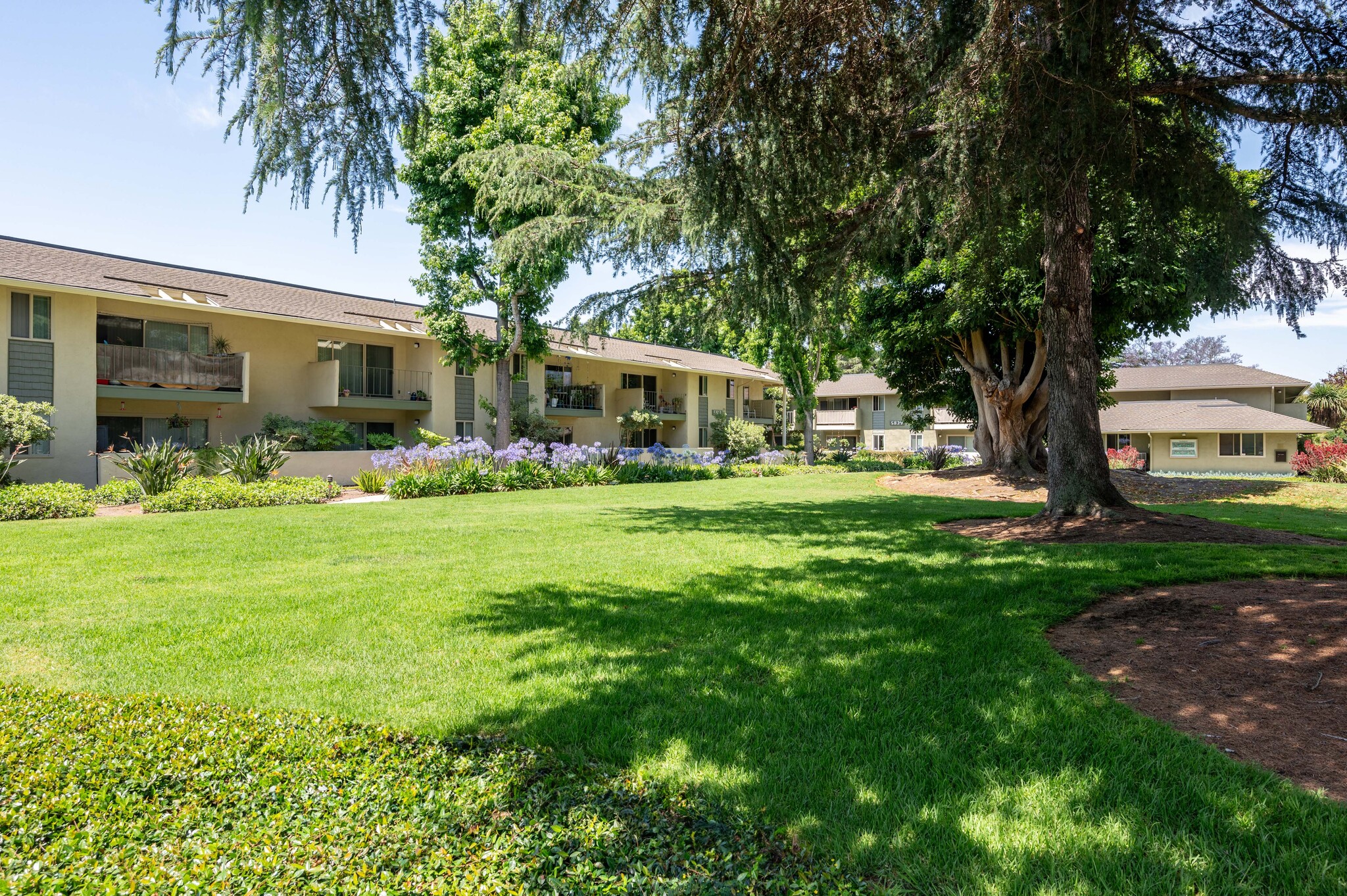 Encina Meadows, ucsb, 5839 Encina Rd, Goleta, CA 93117